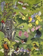 Garden Birds of BC - available as a card or print